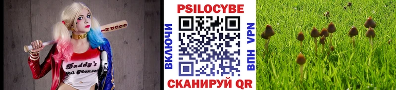 Купить закладки  Спасск-Дальний  Галлюциногенные грибы GOLDEN TEACHER 